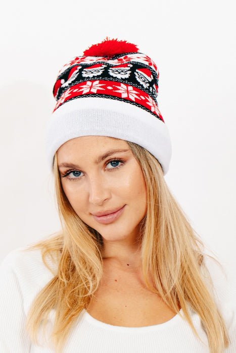 Santa Claus Snowflake Christmas Beanie